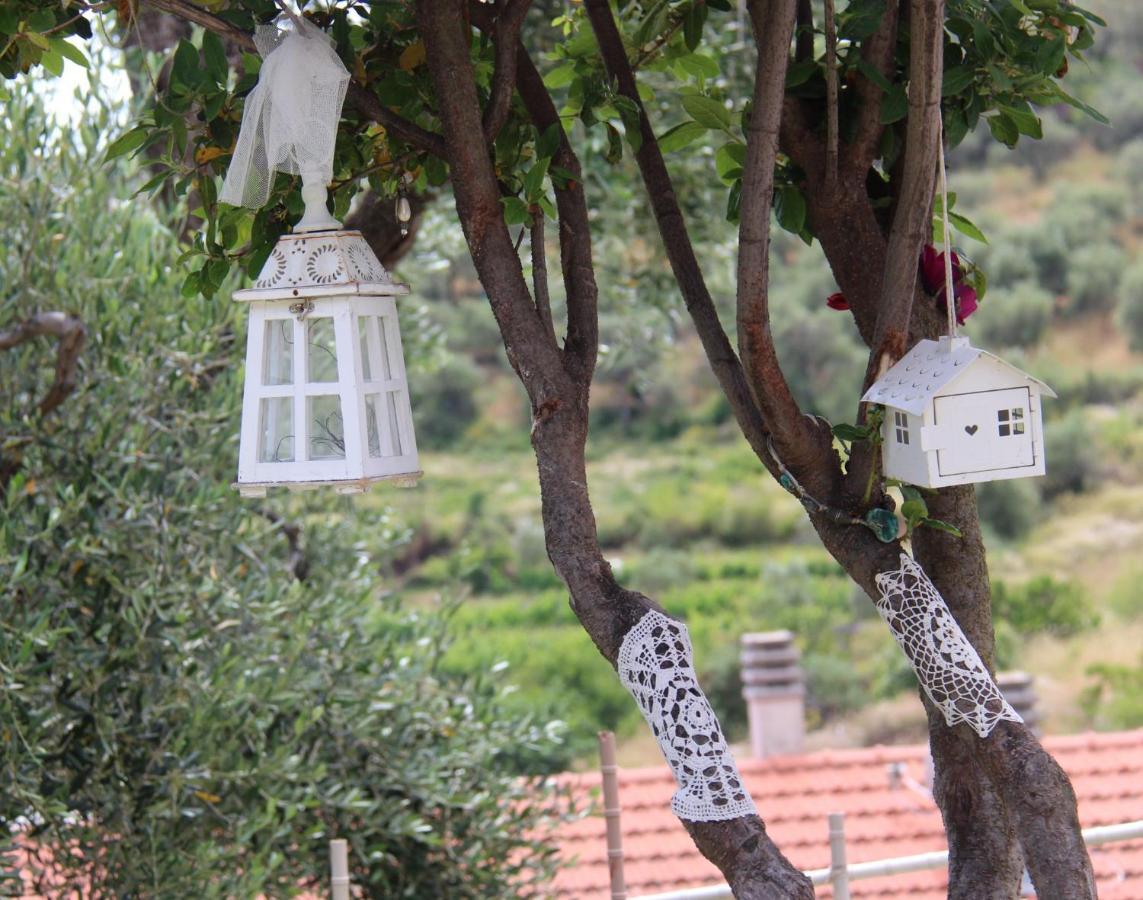 Il Sole Di Poggi Bed and Breakfast Imperia Eksteriør billede