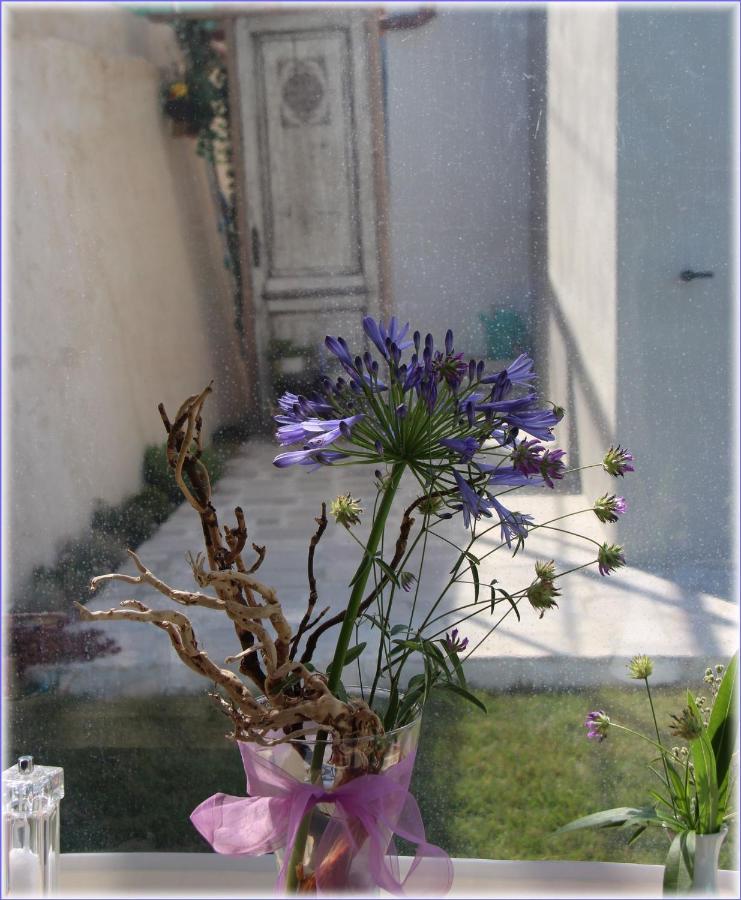 Il Sole Di Poggi Bed and Breakfast Imperia Eksteriør billede