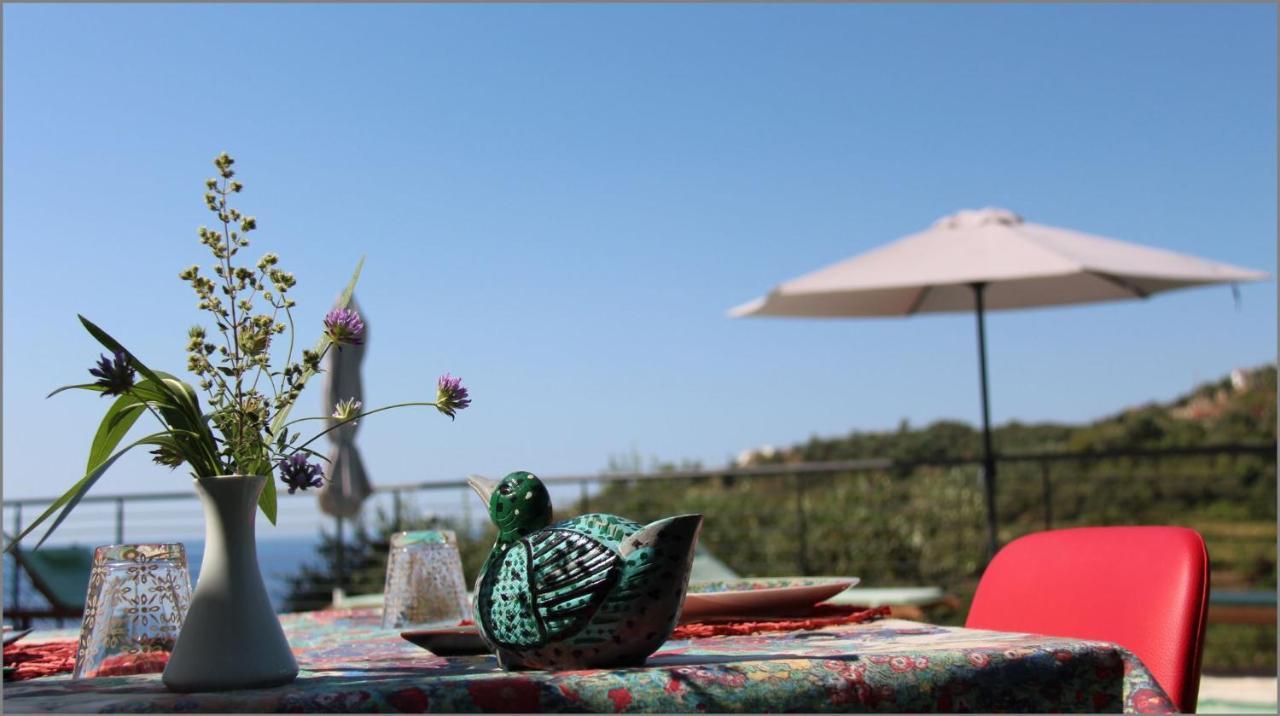 Il Sole Di Poggi Bed and Breakfast Imperia Eksteriør billede